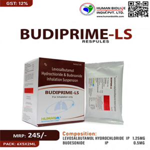 Budiprime